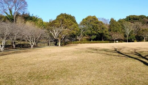 今日は寒かった～冬らしい一日