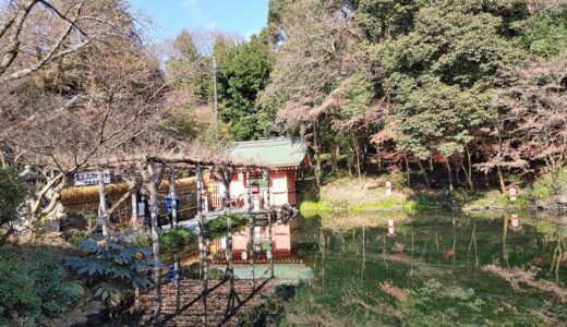 幕末の霊能者・島田幸安～江戸幕末に登場した和歌山県の町医者